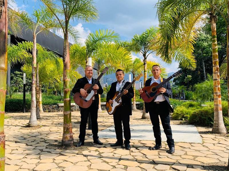 Tríos de cuerda en Medellín interpretando música romántica para serenatas y eventos especiales